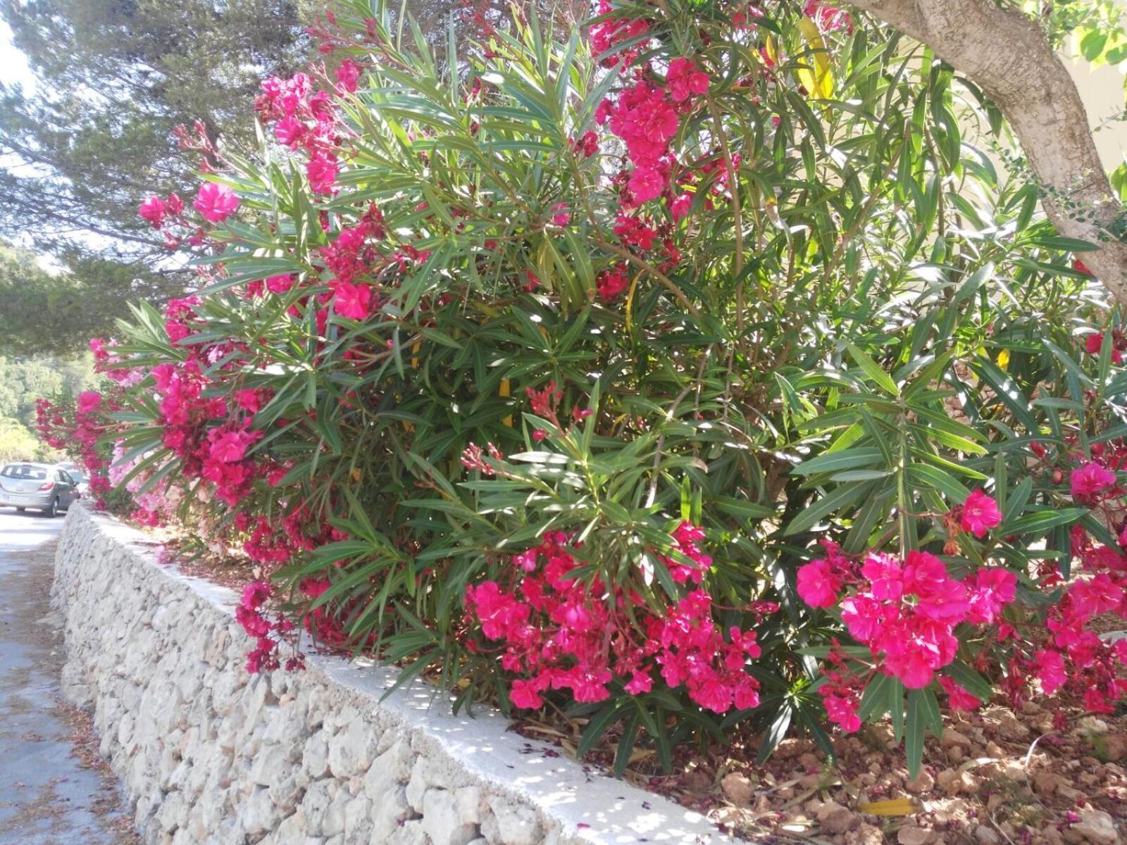 Cala Galdana Beach Екстериор снимка